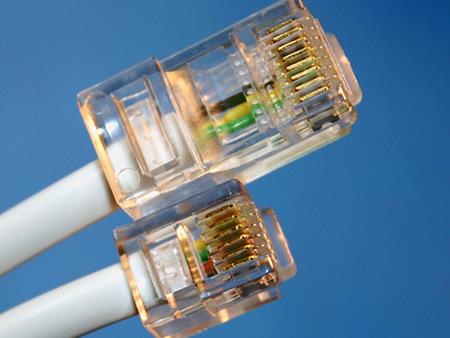 Hạt mạng là gì? Đặc điểm của hạt mạng