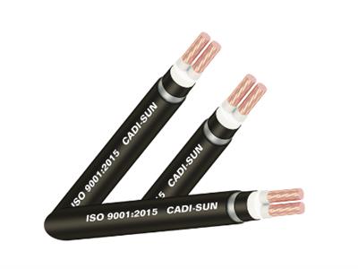 Cáp đồng ngầm 2 ruột Cadisun DSTA 2X