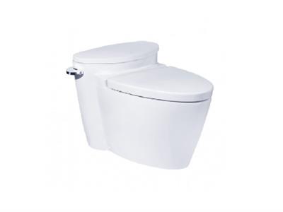 Bồn cầu 1 khối COTTO C10047 Paragon cao cấp