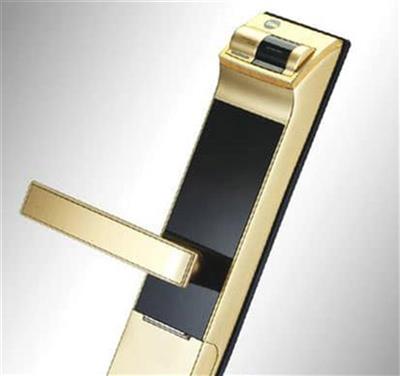 Khóa cửa vân tay Yale 4109  phiên bản màu vàng 2