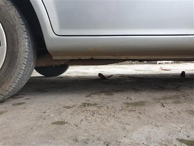 hyundai getz xam 9van 8 65275