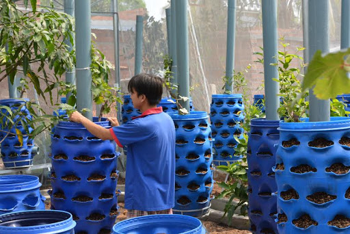 Tạo tháp trồng rau